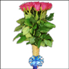 Sparkling Red - Click here to View more details about this Product